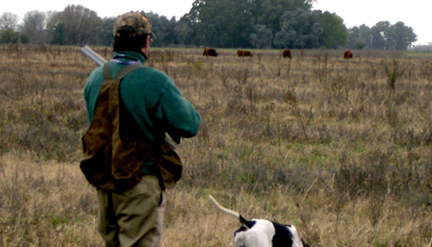 Los Crestones, General Belgrano, Argentina