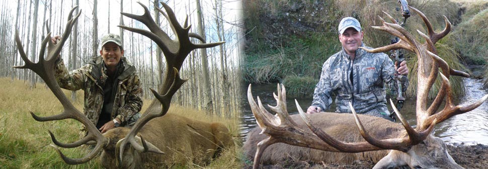 Poronui, North New Zealand