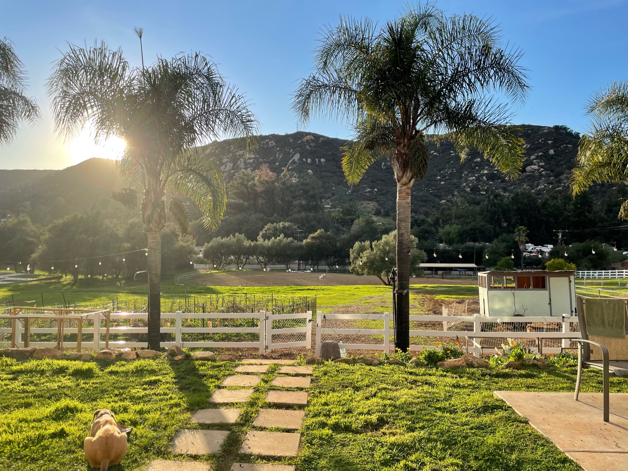 View of RoseHaven Farm in Escondido, California, showing the outdoor therapy environment surrounded by trees, hills, and farm structures.