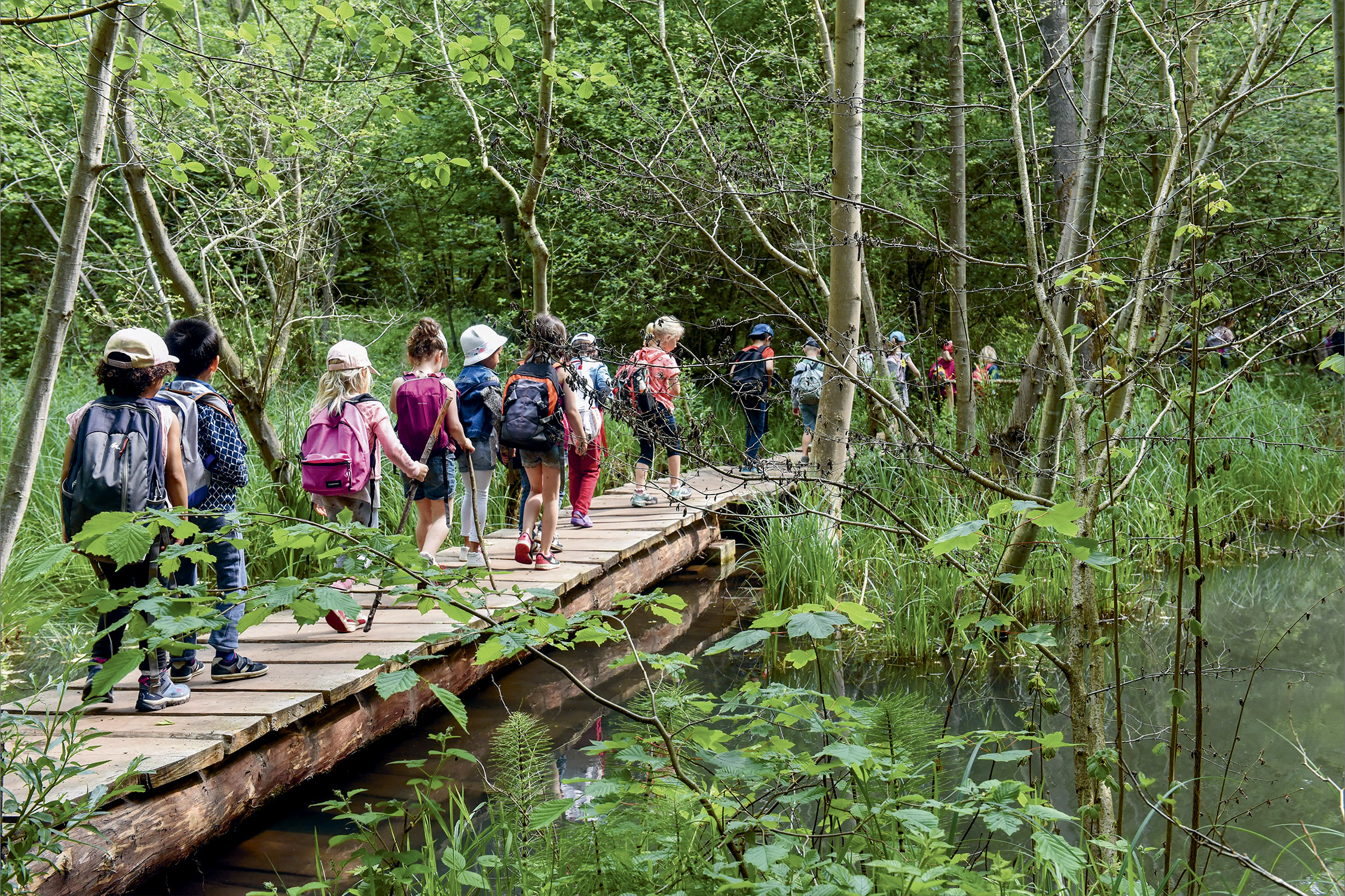 Éducation au climat : l’école accélère