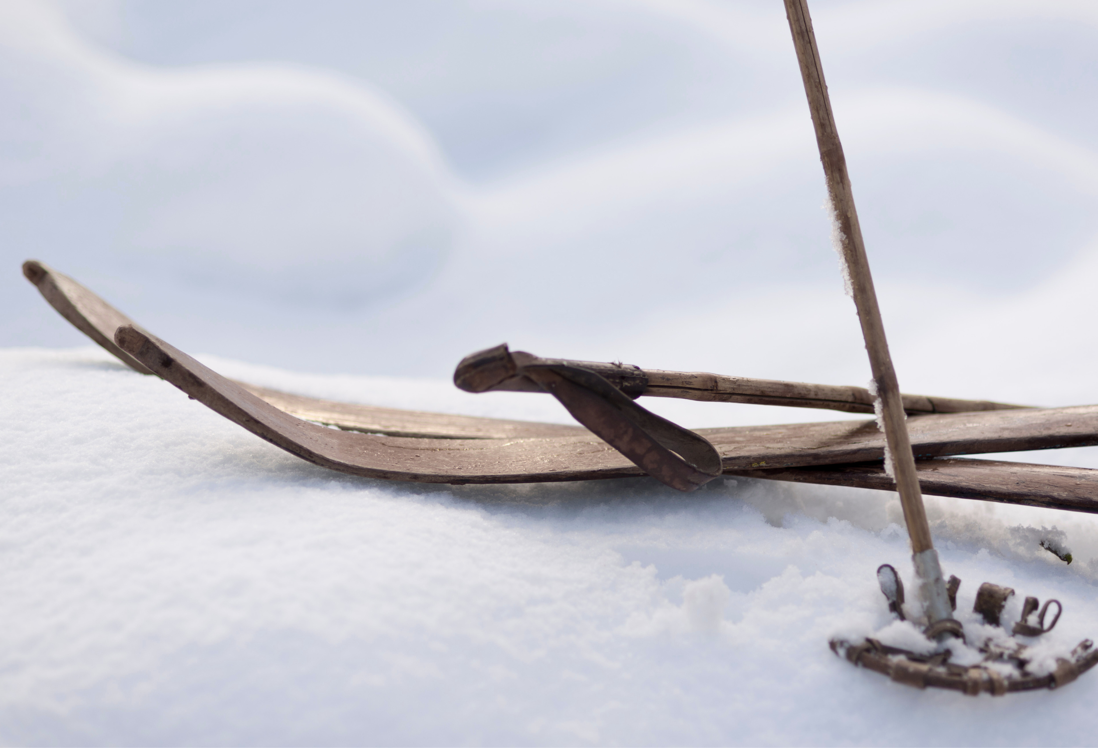 Skis en bois, le retour !