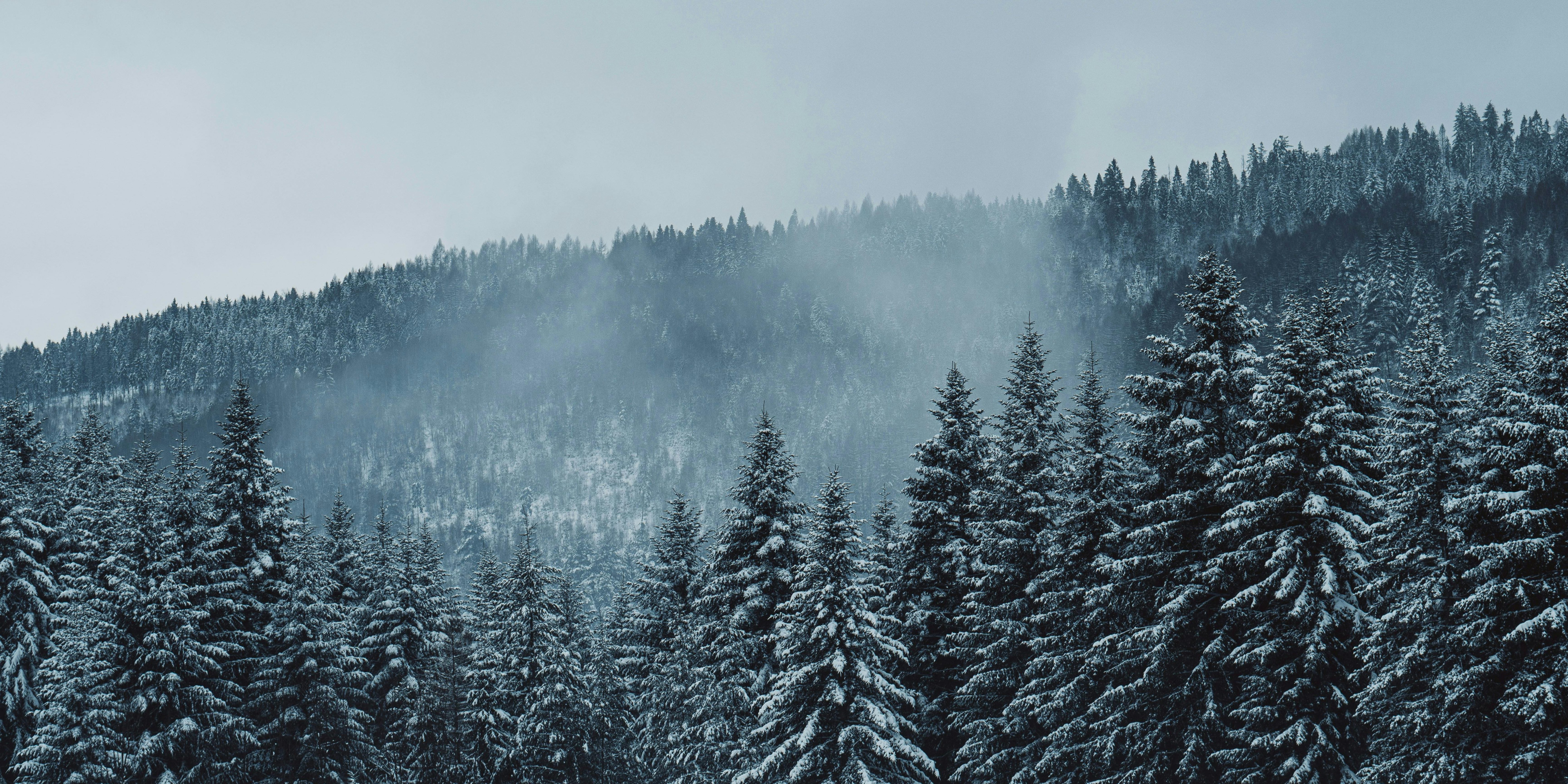 Biodiversité : les voies de l’adaptation