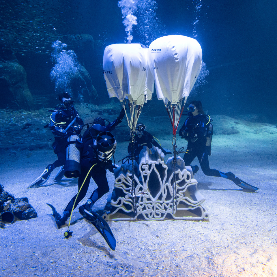 Des récifs artificiels pour protéger le littoral