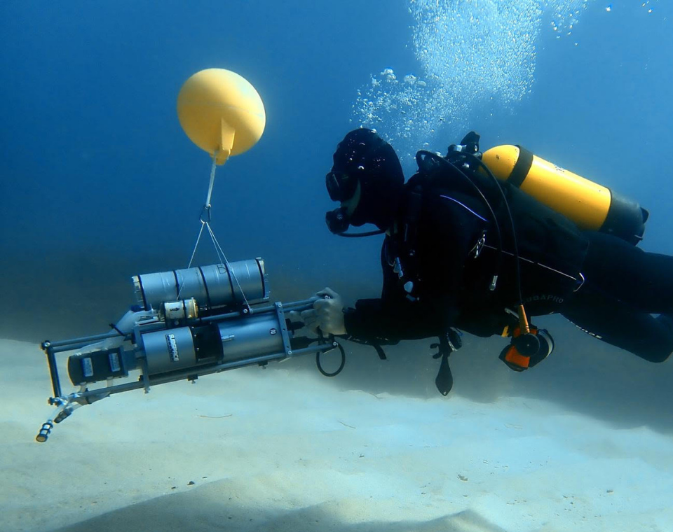 Biodiversité marine : inventorier pour mieux protéger