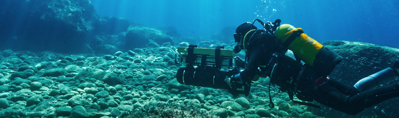 Biodiversité marine : inventorier pour mieux protéger