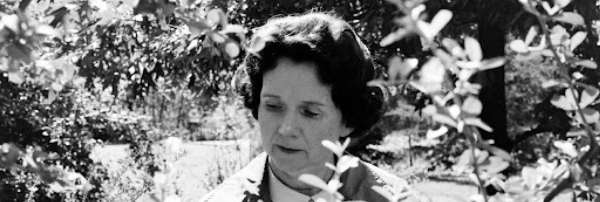 Rachel Carson, lanceuse d’alerte avant la lettre