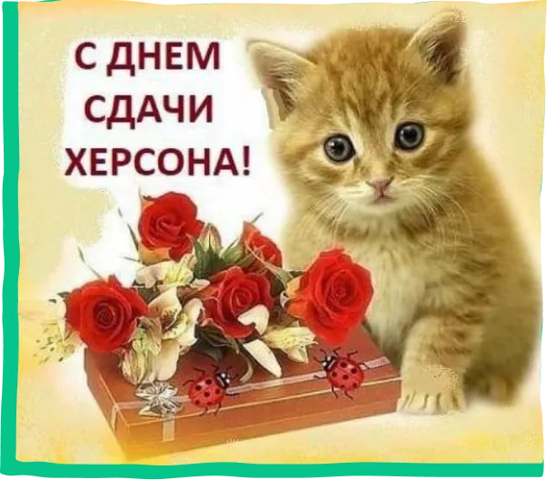 фотографія