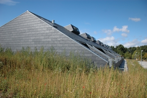 Vi ser her Søhusene fra siden med deres skifferbeklædning. Husene er placeret midt i vildtvoksende landskabsdesign, som minimerer vedligeholdelsen og skaber gode naturoplevelser.