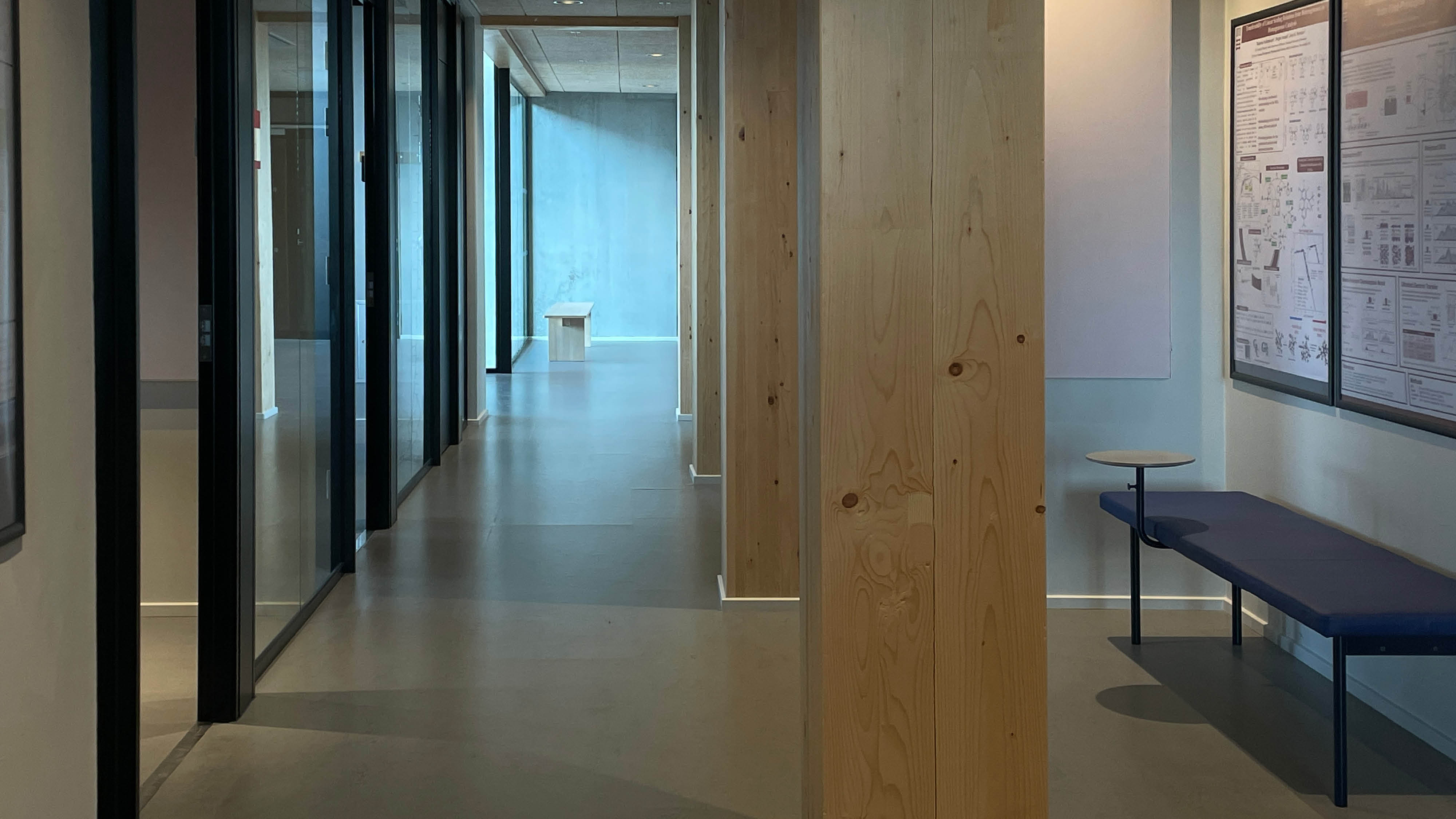 Kig ned af en gang, hvor der til venstre er en bænk og for enden af gangen er der også. Drudover er der træsøjler der kan guide en ned ad gangen.