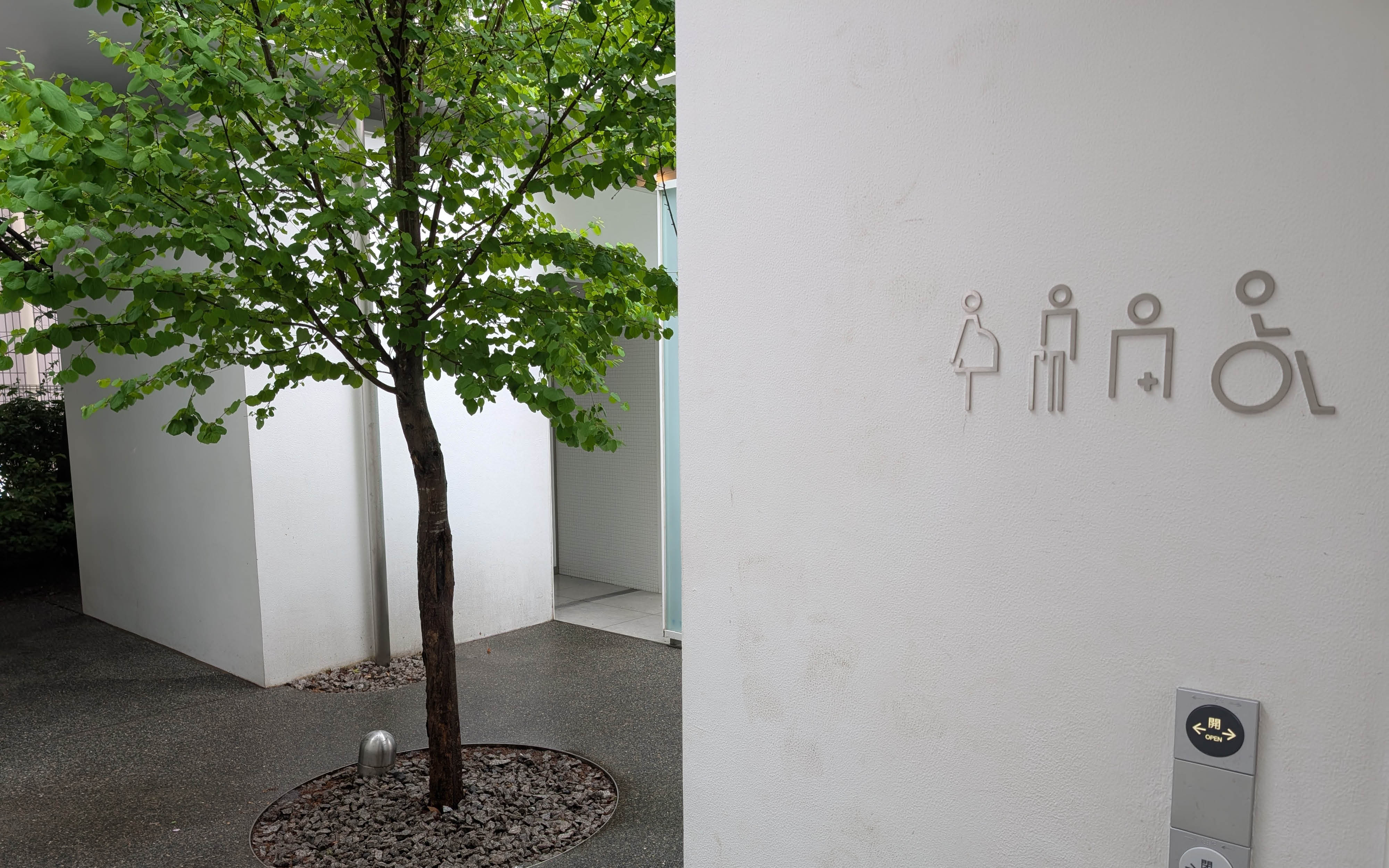 En hvis væg med piktogrammer og bag ved et træ i midten af et åbent rum mellem bygnignerne.