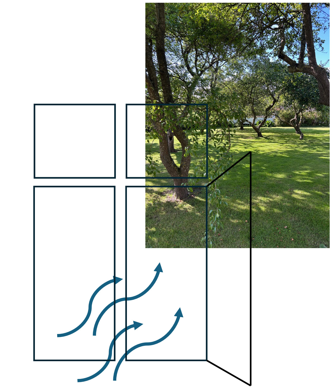 Illustration af åbent vindue med udsyn til grøn have, hvor pile viser naturlig ventilation og luftens bevægelse mellem inde- og uderum.