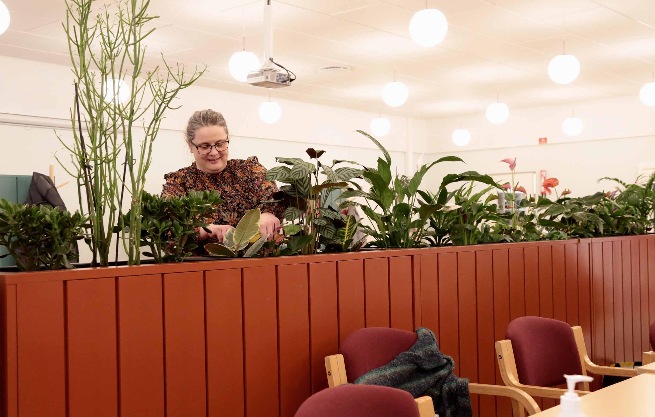 En person plejer planter i en indendørs plantekasse i et lyst fællesrum med stole og lamper.