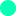 A bright green bullet point. 