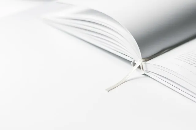 Livro Branco Mais e Melhores Empregos para os Jovens