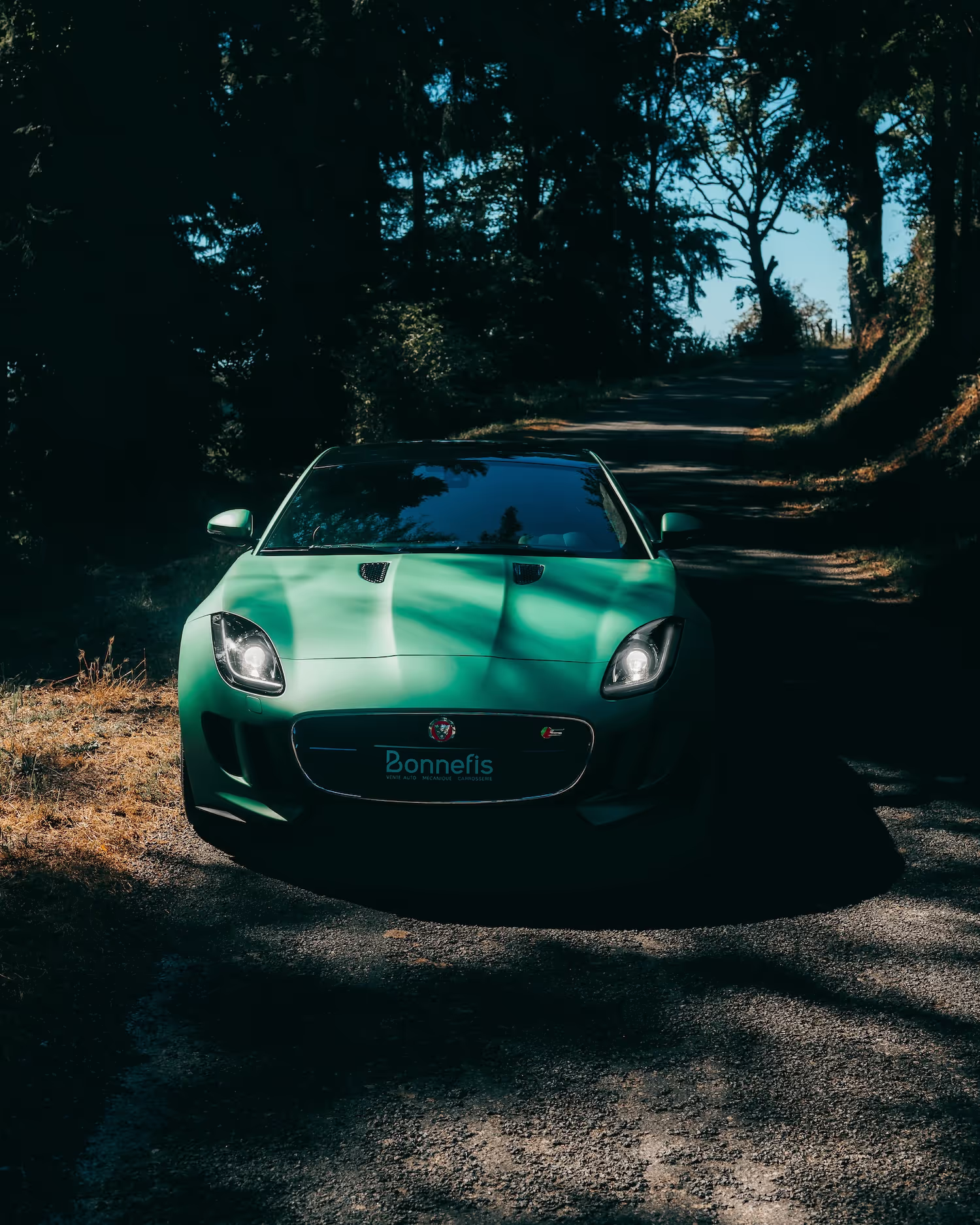 JAGUAR F-TYPE