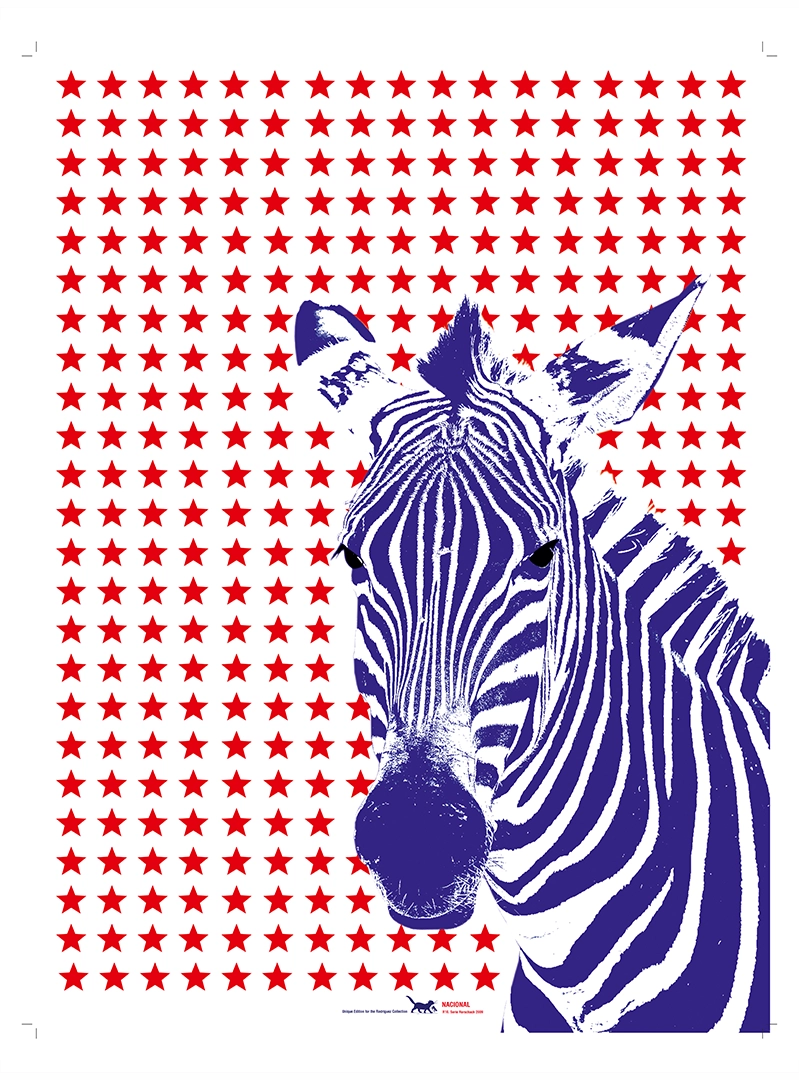 De la serie Rorschach: Nacional, 2009 Edition 1/3 | Digital Print on Canvas 40 x 30 Inches  