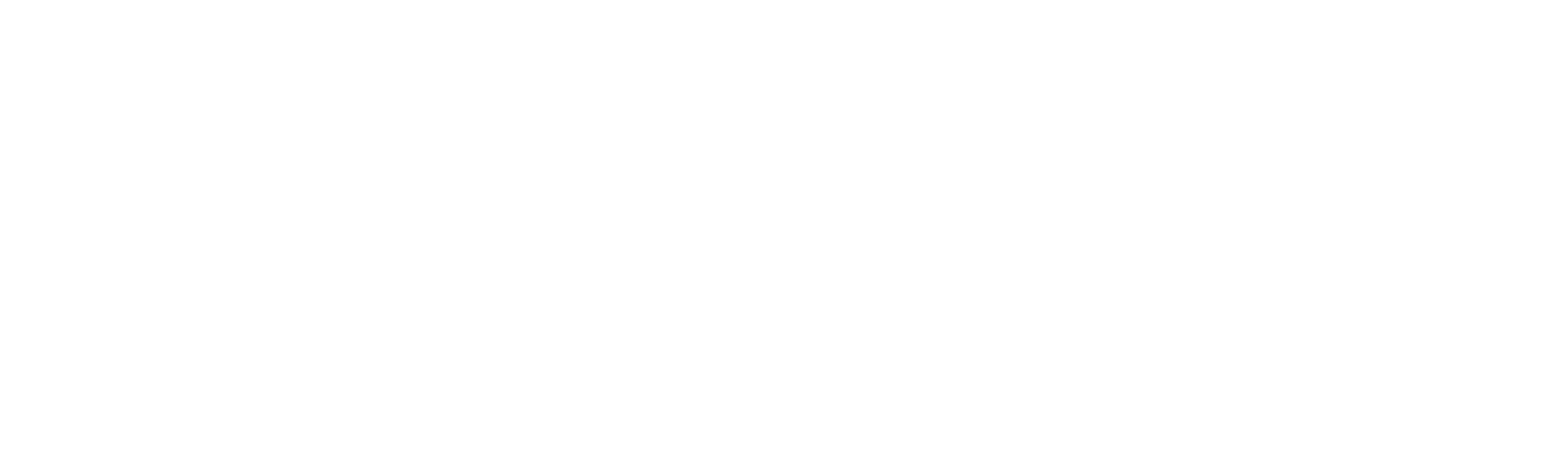Dimassi's Logo in white