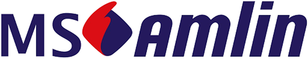 MS Amlin