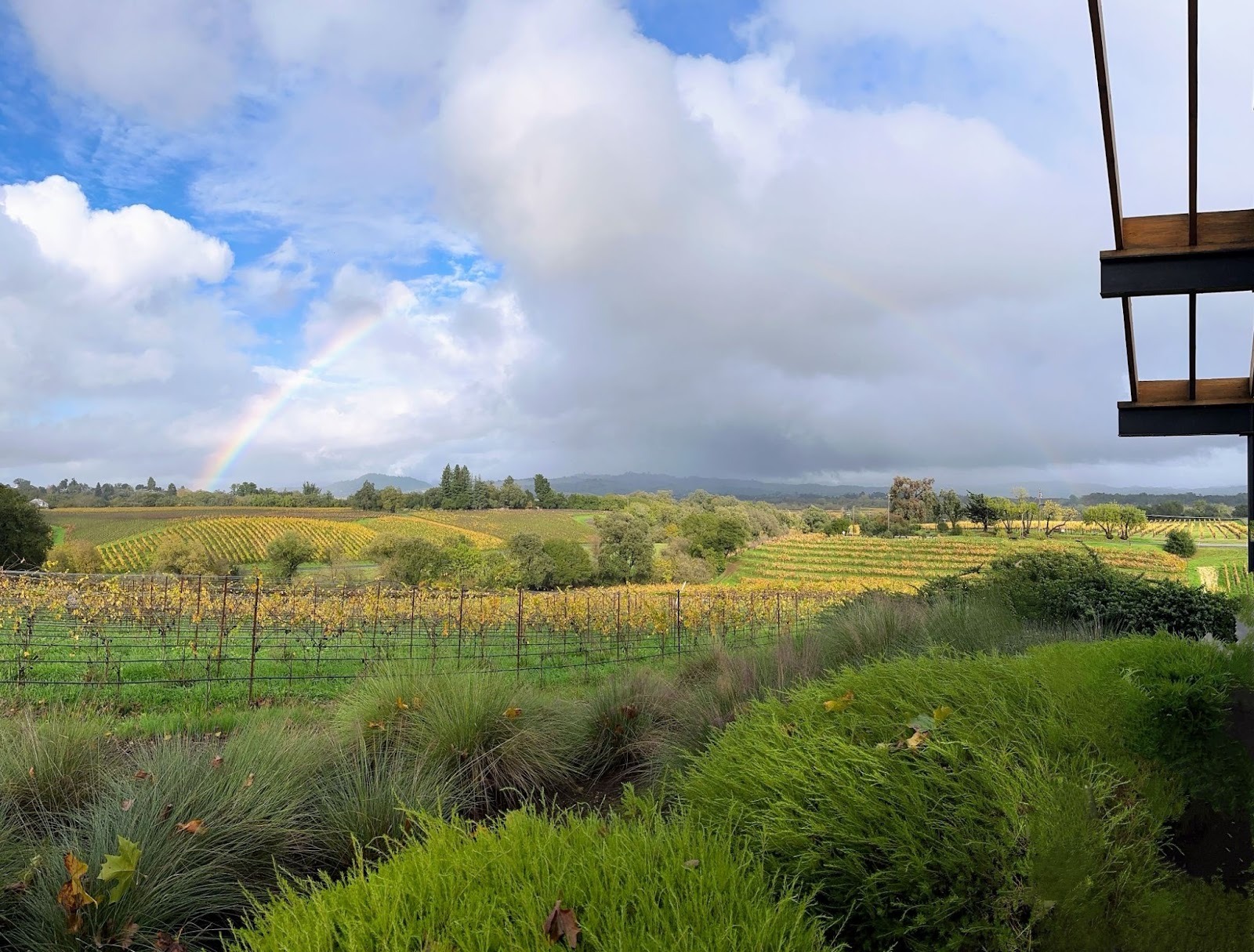 Scenic vineyard view with a rainbow over rolling hills at the Better Together 2025 event in Sonoma, hosted by Zaelab in partnership with ServiceNow and Shopify.