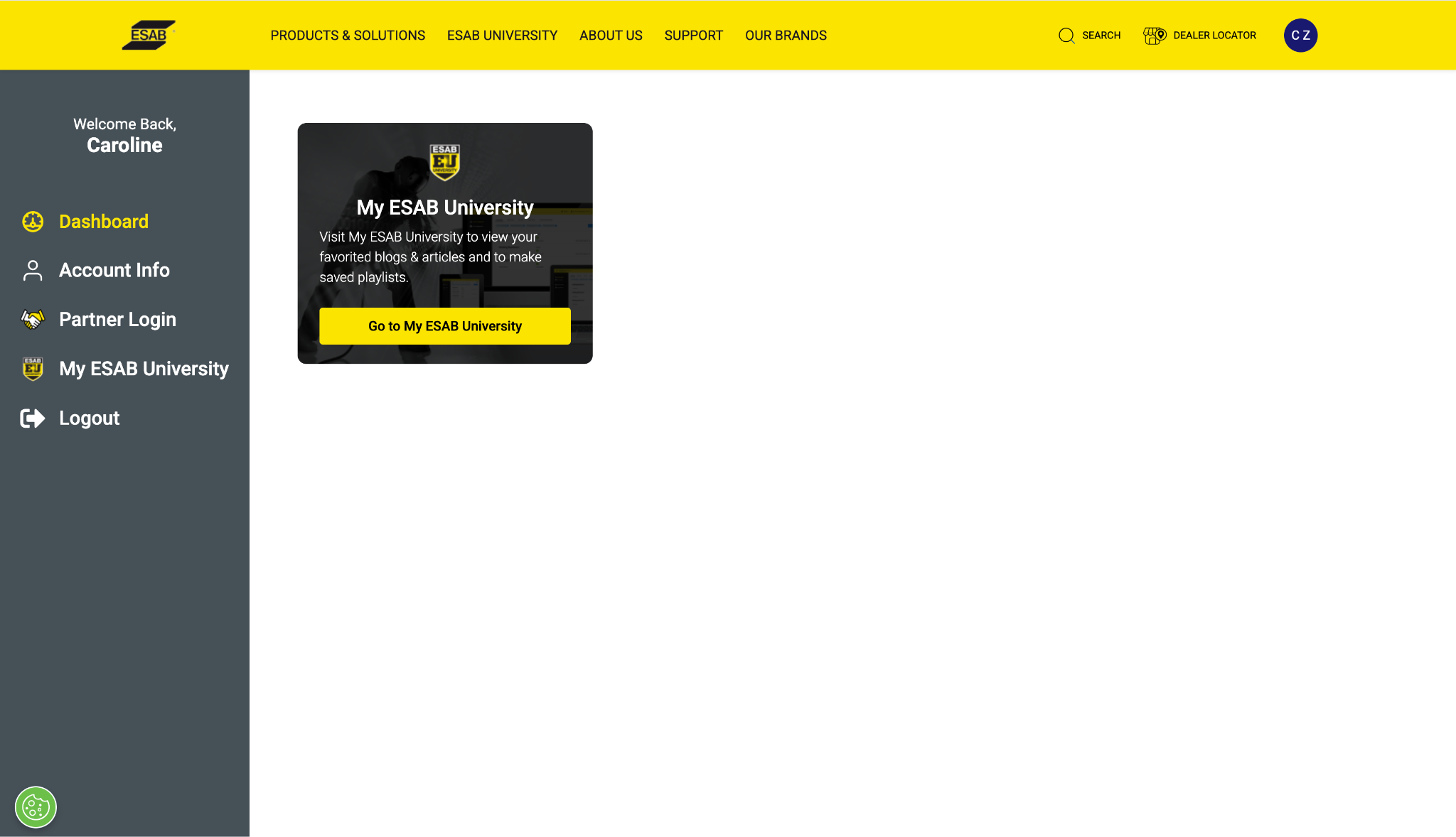 ESAB Client Portal Screenshot
