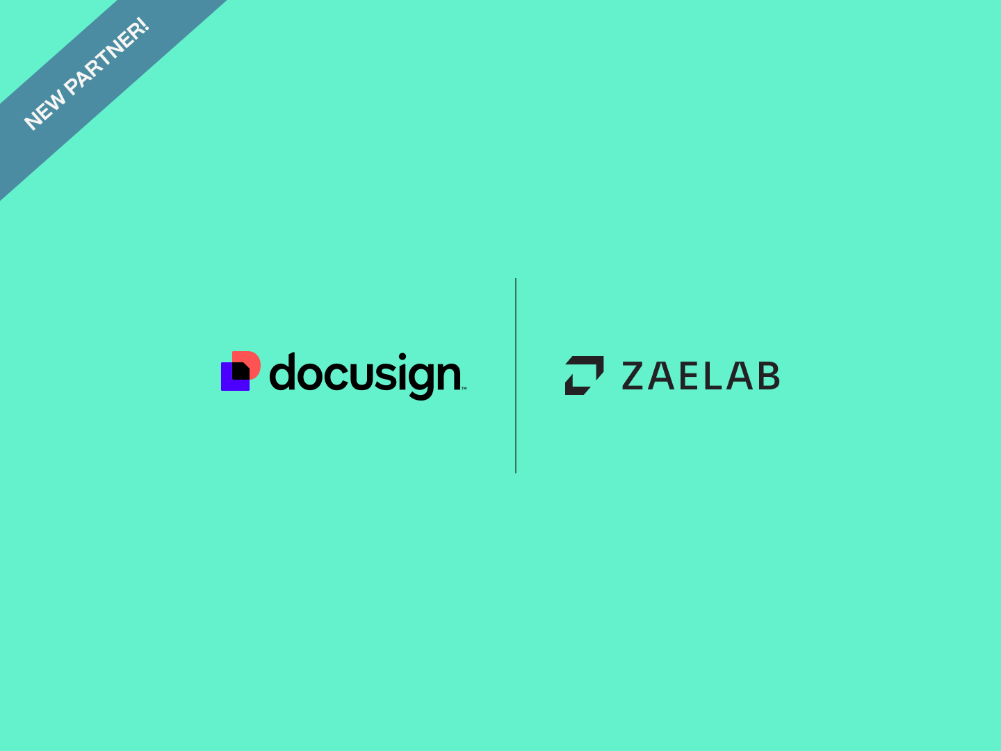 Docusign and Zaelab Partnership Announcement