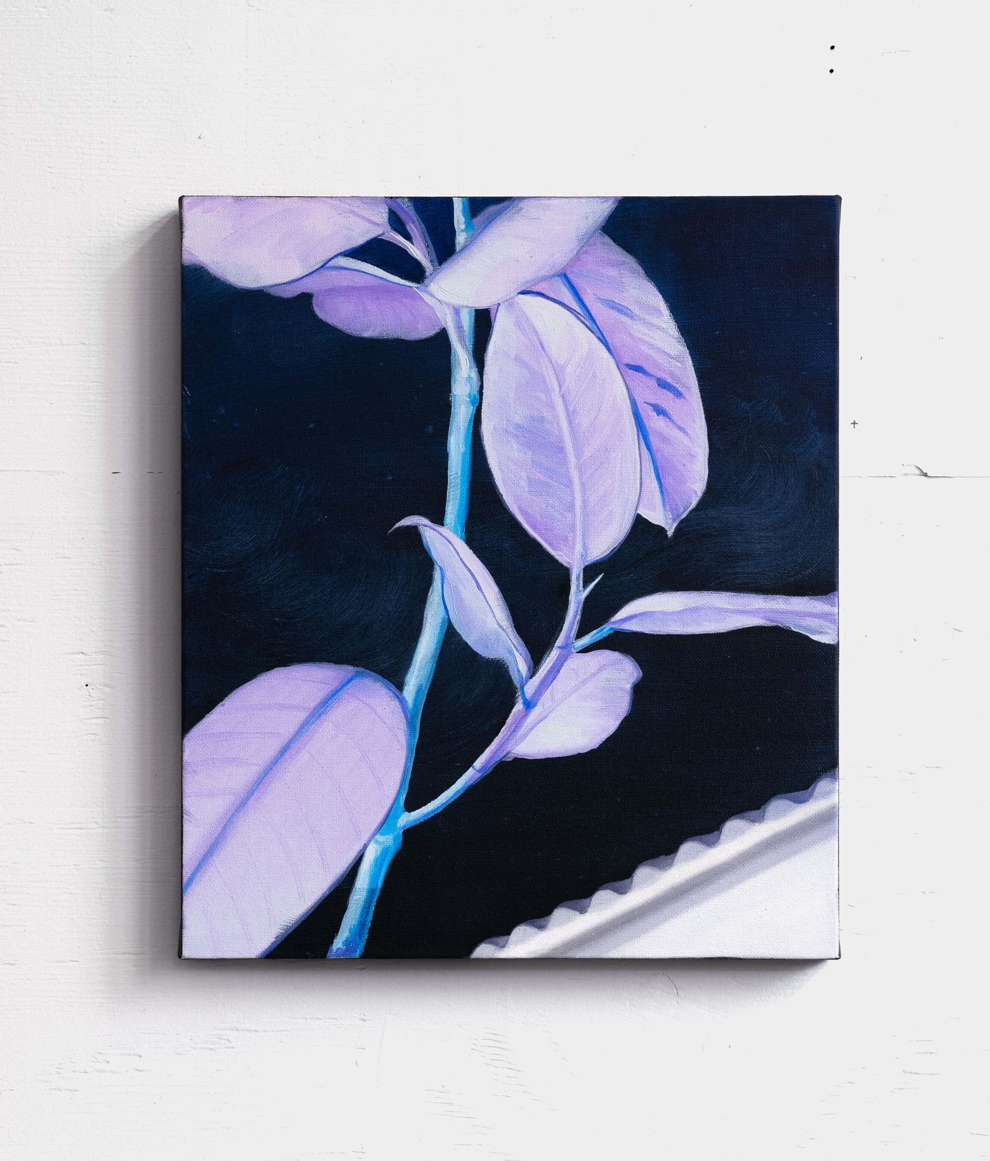 Vast as a universe waiting to unfurl, oil on linen, 11 x 14 in