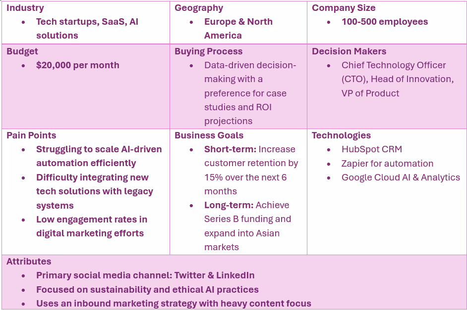 Ideal Customer Profile Example