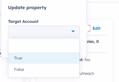 Screenshot showing user updating company record to be tagged as a target account.