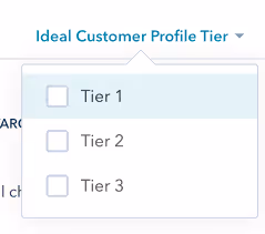 Screenshot showing HubSpot ICP tier checkboxes.