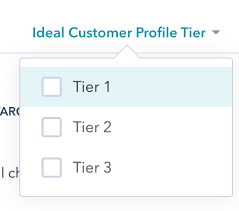 Screenshot showing HubSpot ICP tier checkboxes.