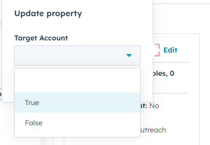 Screenshot showing user updating company record to be tagged as a target account.