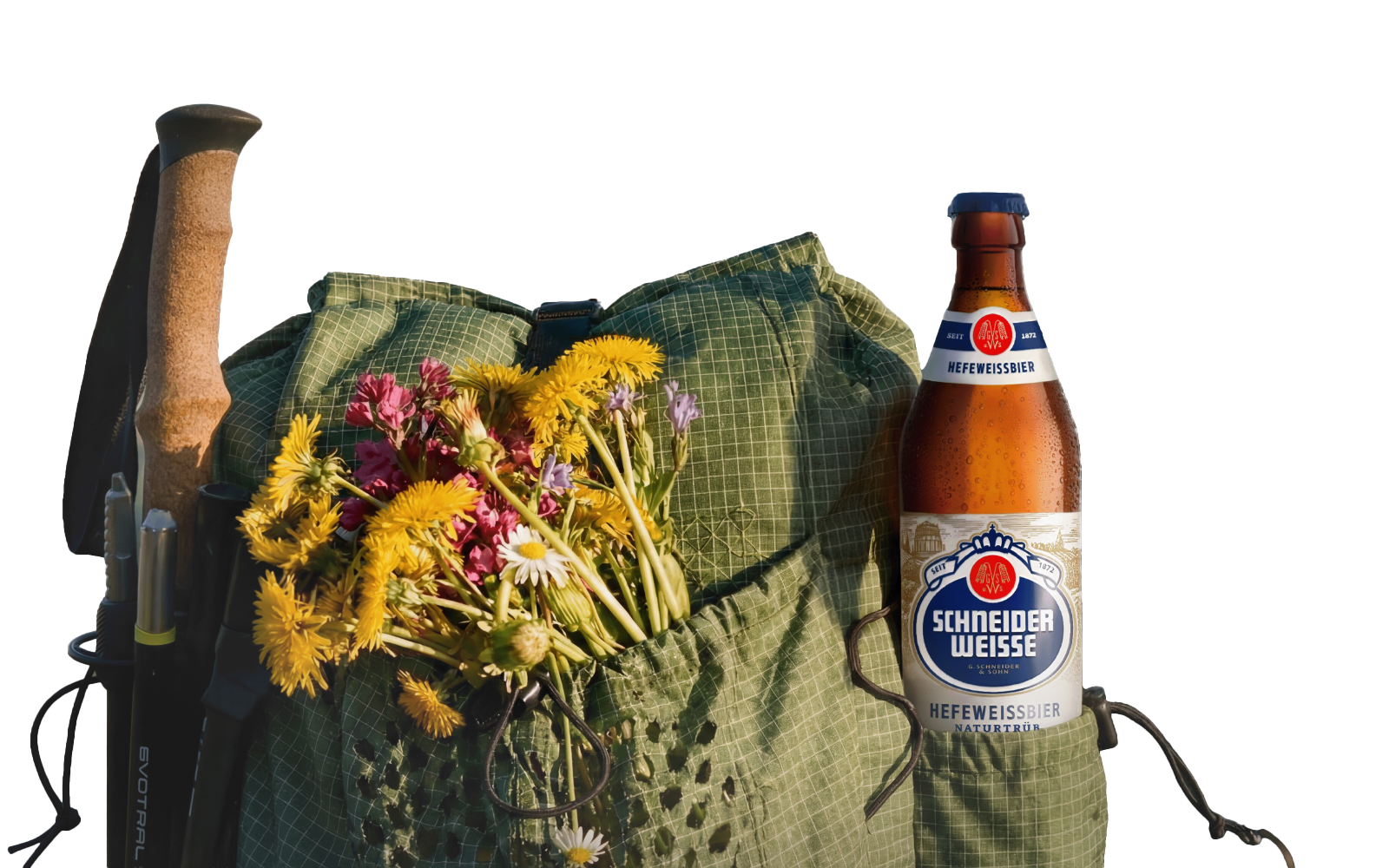 Scheider Weisse Hiking