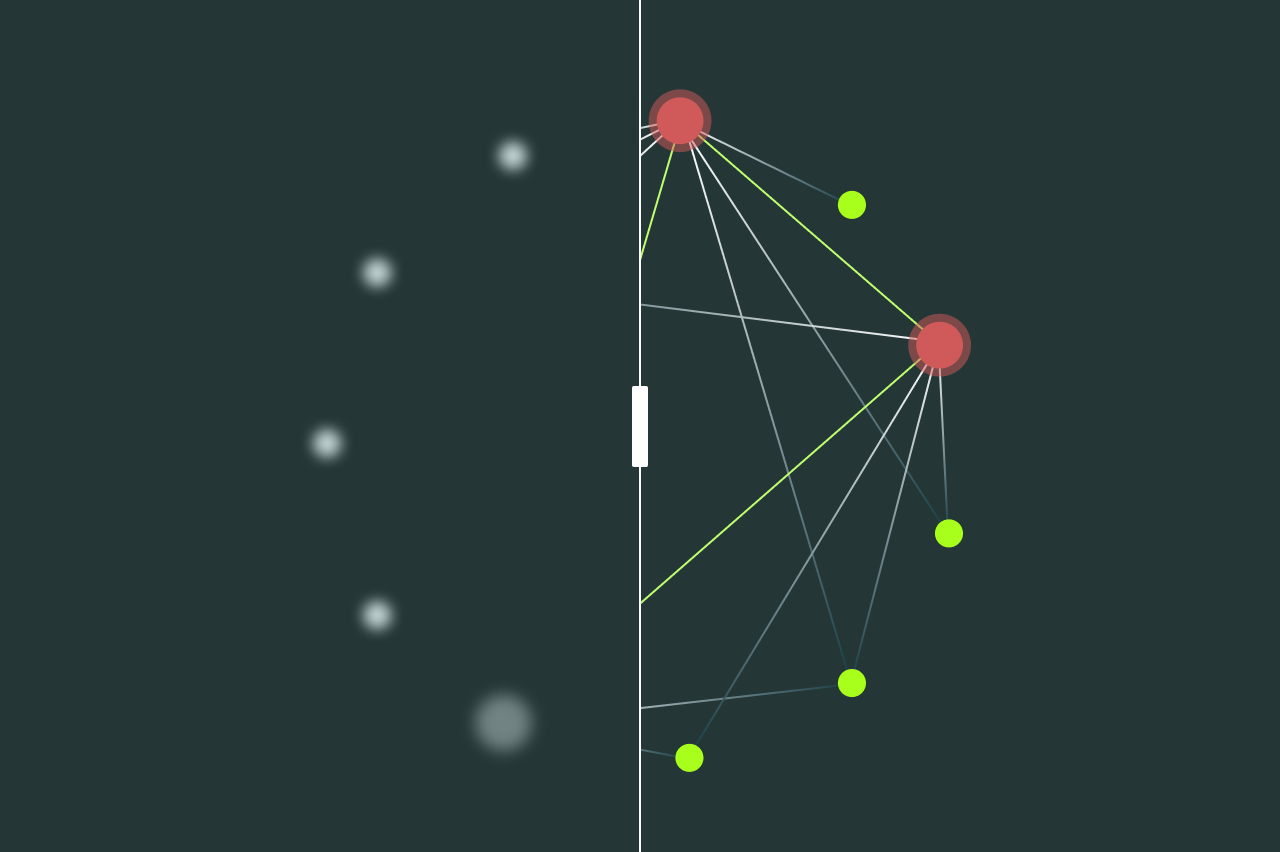 What business identity data reveals about Medicaid's biggest billers