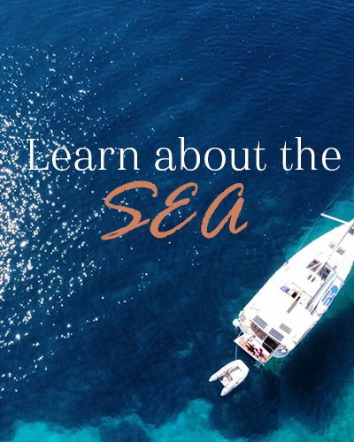 Aerial view of a white sailboat and a small dinghy floating on clear blue sea water with the text 'Learn about the SEA'.