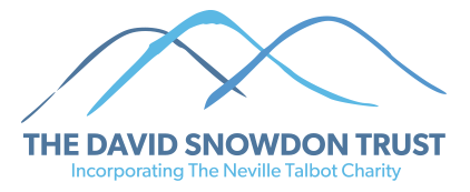 David Snowden Trust