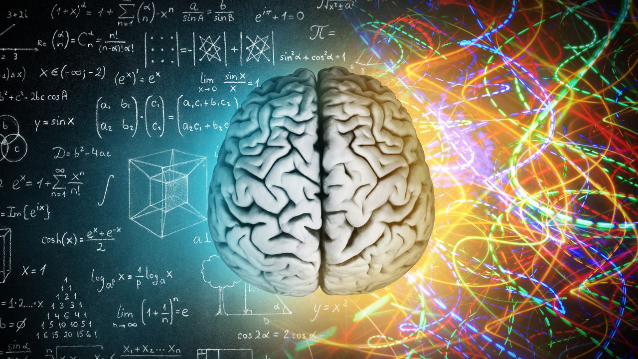 How Concussions Impact the Pituitary Gland