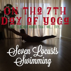day7