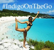 indigoonthego