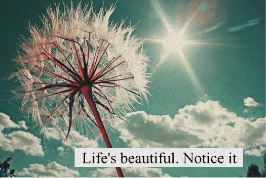 beautiful