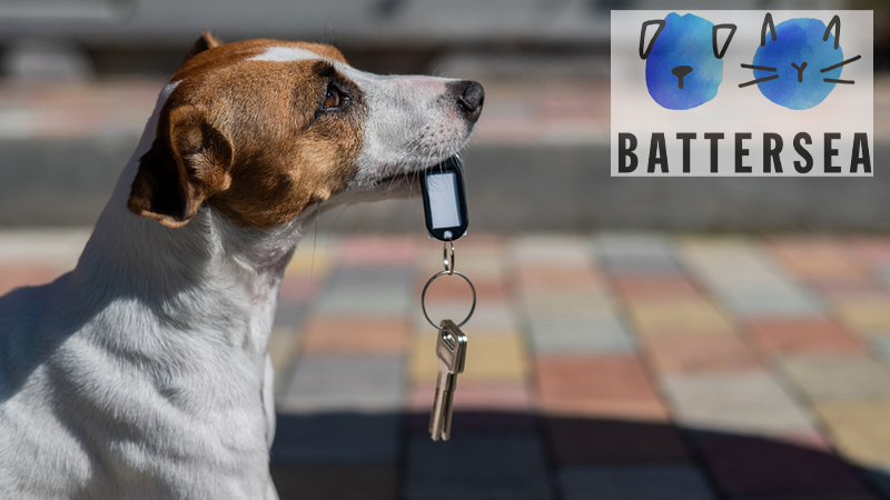 pet deposits