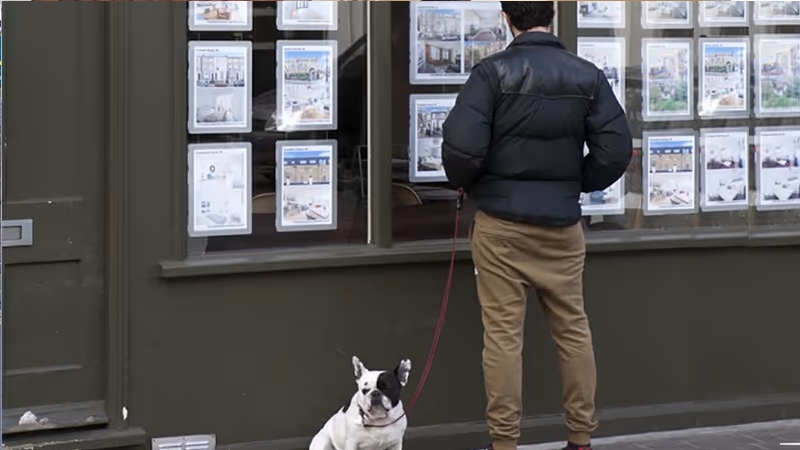 letting agents window
