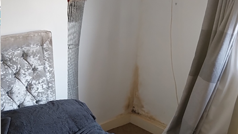 bedroom mould