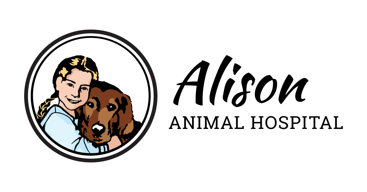 動物看護学 ANIMAL NURSING Amazon.com: Pet-Ag Nursing Kit - 4 oz, Pack of 2 - Promotes