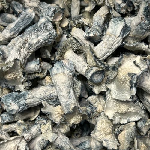 Amazonian Vegan Raw Classic Dark Cacao Bar MF Shrooms Ann Arbor Mushrooms