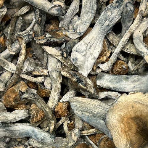 Amazonian Vegan Raw Classic Dark Cacao Bar MF Shrooms Ann Arbor Mushrooms