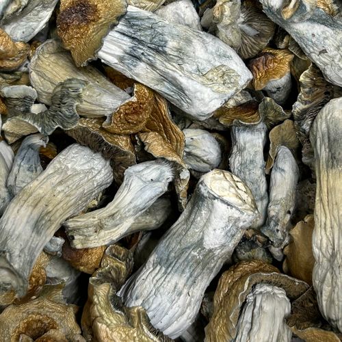 Amazonian Vegan Raw Classic Dark Cacao Bar MF Shrooms Ann Arbor Mushrooms