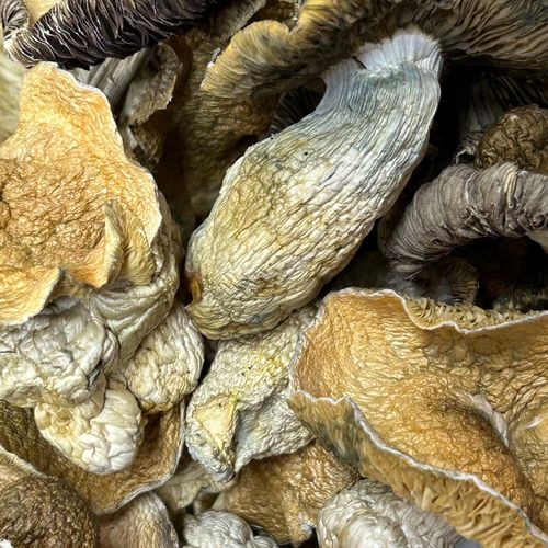 Amazonian Vegan Raw Classic Dark Cacao Bar MF Shrooms Ann Arbor Mushrooms