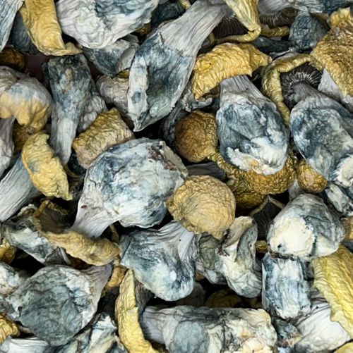 Amazonian Vegan Raw Classic Dark Cacao Bar MF Shrooms Ann Arbor Mushrooms