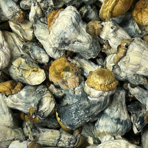 Amazonian Vegan Raw Classic Dark Cacao Bar MF Shrooms Ann Arbor Mushrooms