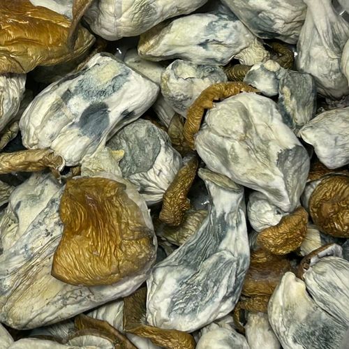 Amazonian Vegan Raw Classic Dark Cacao Bar MF Shrooms Ann Arbor Mushrooms